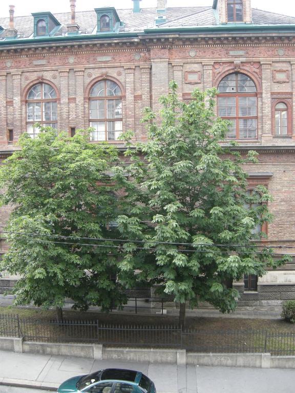 Pension Schottentor Wina Bagian luar foto